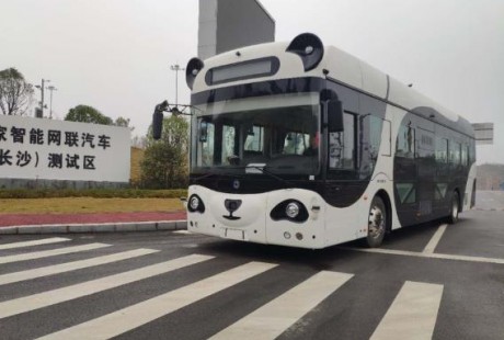 深蘭科技熊貓智能公交車獲長沙智能網聯汽車牌照